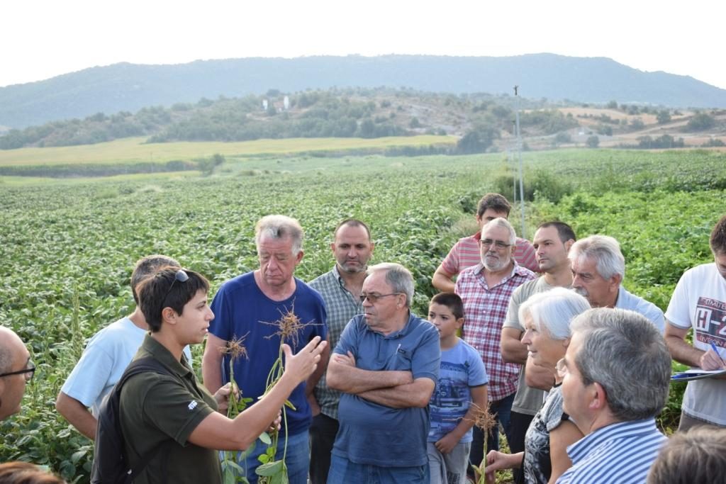 Jornada cultivos alternativos