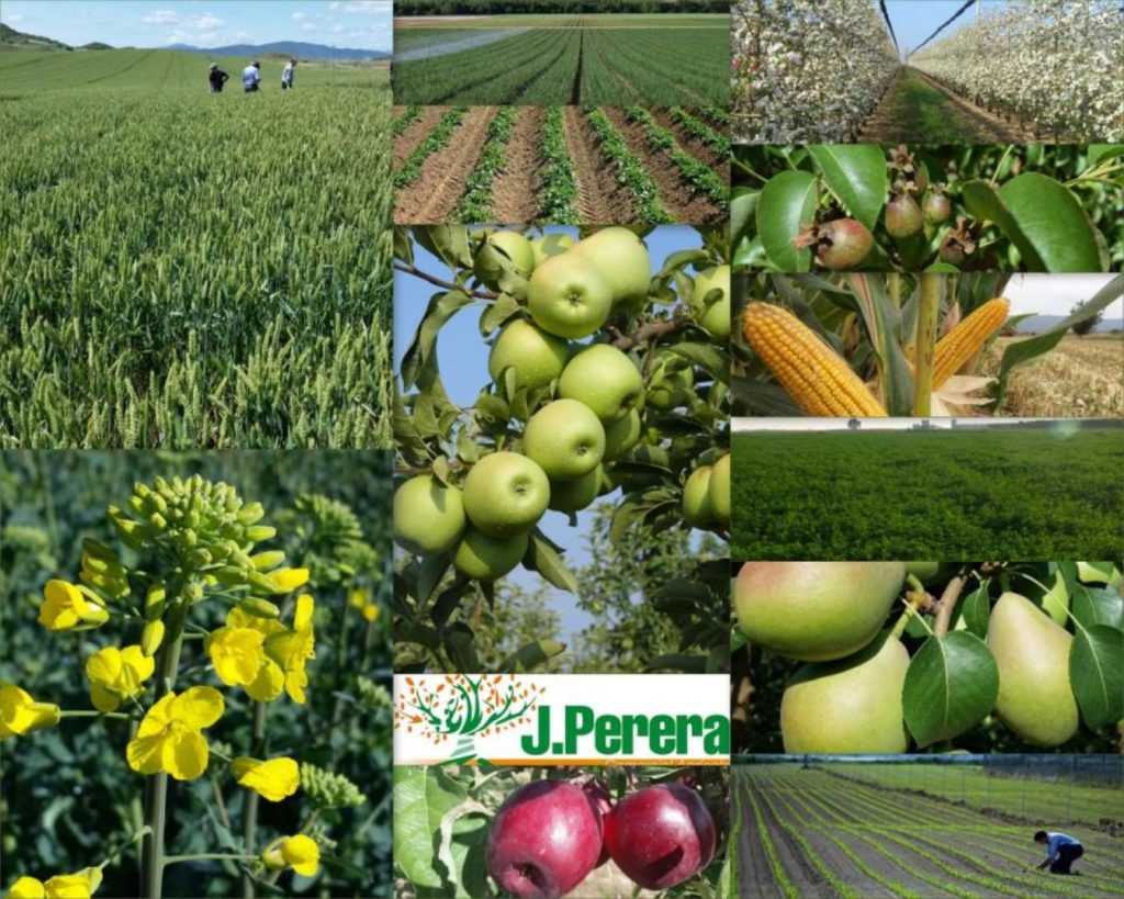 Comercial Agrícola J.Perera