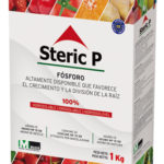 Steric P