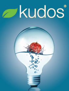 INFORMACIÓ KUDOS